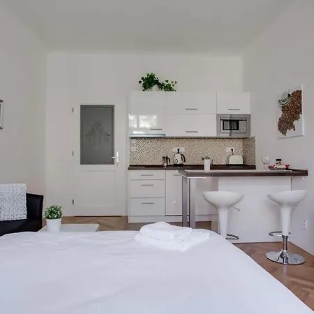 Charming Near The Historic Center * Prague